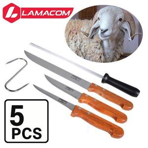 Kit de Boucherie Spécial Aïd 5 Pièces - 3 Couteaux Inox + Fusil à Aiguiser + Crochet à Viande - Qualité Professionnelle