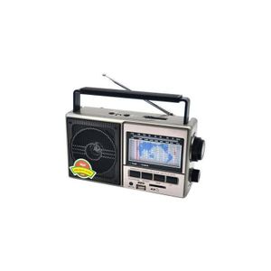 Radio FM AM SW Portable avec USB SD et Micro SD - 11 Bandes