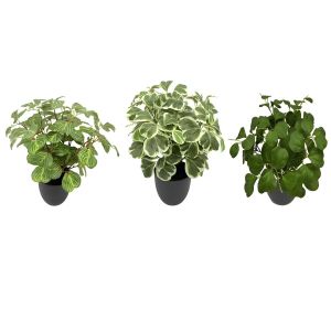 Plante Artificielle - Feuilles Vertes Réalistes - Pot Plastique Noir - Décoration Intérieure