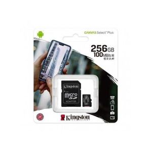 Kingston Memory Card Micro SD Carte Mémoire Micro SDXC Classe 10 256 GB