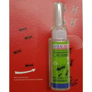 Insecticide BIO - Anti insectes rampants - Plantopia Maroc