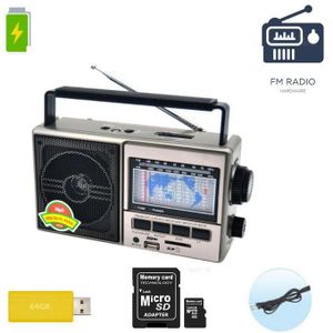 Fepe RADIO FM AM SW Lecteur AUDIO , RECHARGEABLE USB SD et MICRO SD.