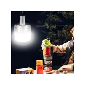 Ampoule LED Solaire Rechargeable Économie d'énergie Étanche Couleur blanc