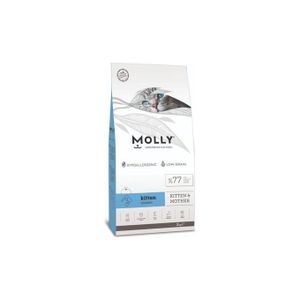 Molly kitten food best sale