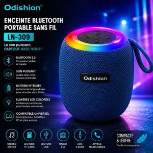 Enceinte Bluetooth Odishion LN-309 bleu