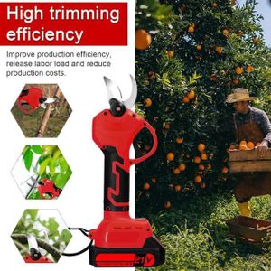 Sécateur électrique sans fil haute efficacité 21V pour la taille des arbres fruitiers, des bonsaïs et des branches un outil de taille paysagère.