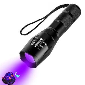 Torche Ultraviolette Rechargeable – Lampe UV pour Détection de Traces et Scorpions