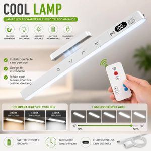Lampe LED Rechargeable 29cm avec Télécommande, Écran LED Batterie, 5 Températures de Couleur, Luminosité Réglable, Fixation Magnétique Sans Perçage, Recharge USB-C