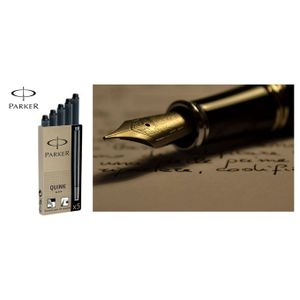 Ulmann 1 STYLO A ENCRE PLUME AVEC 2 CARTOUCHES D'ENCRE BLEU à prix pas cher