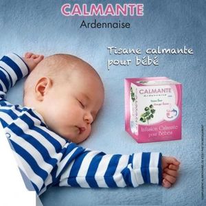 CALMANTE ARDENNAISE BEBE 12 TISANES - CALMANTE ARDENAISE - Thés, T