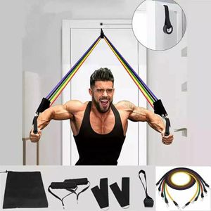 Ensemble Fitness 11 Pièces – Bandes de Résistance avec Guide d'Entraînement