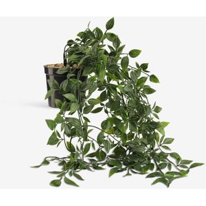 Plante Artificielle Suspendue 62cm Noir Vert Décoration Intérieure Réaliste Facile d'Entretien Durable