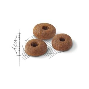 CROQUETTES POUR CHATS ADULTES REGULAR FIT 32 400g
