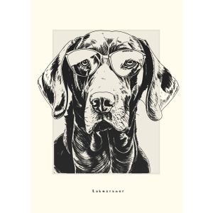 Labmaraner illustration  Poster Chambre Haute Qualité