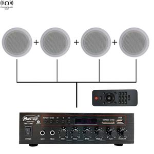 Master Système de Son 100V : Pack Ampli TAB 215 BR + 4 Plafonniers 10W avec télécommande