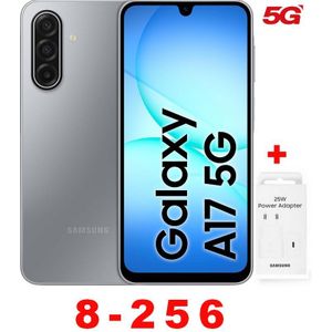 Samsung جالاكسي A17 6.7 بوصة 4G (8 جيجابايت رام + 256 جيجابايت ROM) - 50 ميجابكسل + محول - فضي