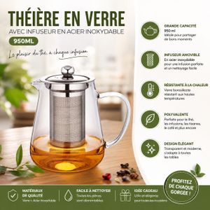 Théière en verre 950 ml avec infuseur en acier inoxydable – Transparent