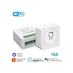 Mini interrupteur intelligent TUYA Home Lights DIY Contrôle bidirectionnel Temporisation 16A Marche avec Yandex Alice, Alexa, Assistant Google APPLICATION SmartLife
