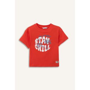 Defacto Baby Boy Oversize Fit Short Sleeve T-Shirt