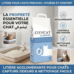 CityCat Litière Agglomérante pour Chats Clumping 5 kg - Haute Absorption - Contrôle des Odeurs - Nettoyage Facile