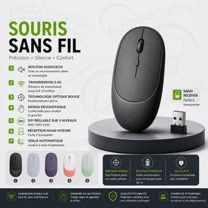 Mouse wireless souris Sans Fil Rechargeable Bluetooth + 2.4G Silencieuse – DPI Réglable 800/1200/1600 – Nano Receiver USB – Compatible PC, Laptop & Tablette