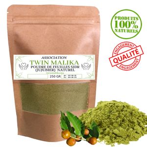 Generic Poudre Ayurvédique de Bhringaraj 100g à prix pas cher