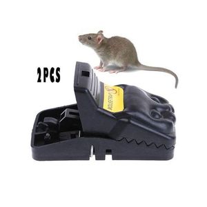 Pièges à rats SSX Mouse Indoor - Petits pièges à Maroc