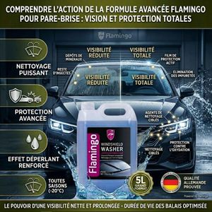 Lave-Glace 5L - Formule Allemande Haute Performance - Toutes Saisons (-20°C) - Effet Déperlant & Meilleure Vision 