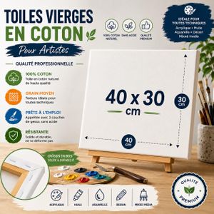 Châssis entoilé, 4 Pièces Toile à Peindre, Cadre en Toile Coton 30X 40 CM