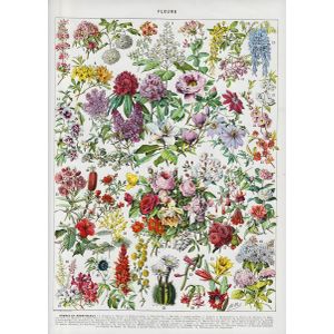 Vintage flowers  Poster Chambre Haute Qualité
