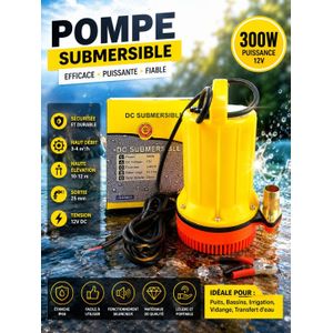 Titre : Pompe Submersible DC 12V 300W Haute Performance – Débit 3-4 m³/h – Hauteur 10-12 m – IP68