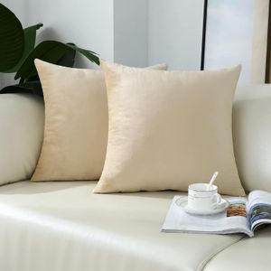 Lot De 2 Housses De Coussin Décoratives En Velours (45x45cm)