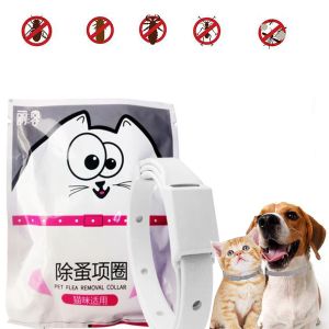 Colliers Harnais Et Laisses Pour Chat Maroc Achat Colliers Harnais Et Laisses Pour Chat A Prix Pas Cher Jumia