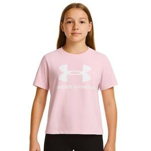 Under Armour T-shirt fille UA BIG LOGO SS 1389756-647