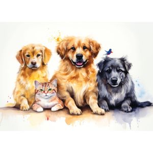 Labrador gang  Poster Chambre Haute Qualité