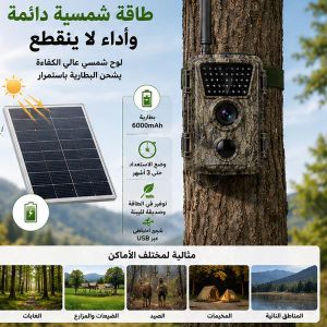 Caméra de Chasse 4G Solaire Mini Full HD Vision Nocturne Détection PIR IP66