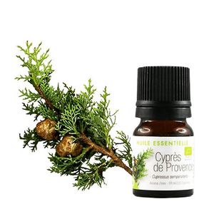 aromazone  Huile essentielle Cyprès de Provence BIO - de 2 ml de AROMA ZONE
