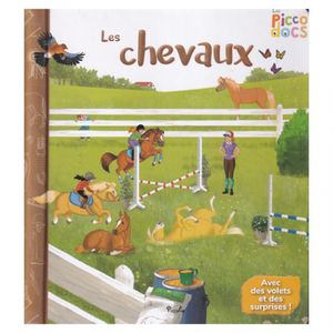 PICCOLIA Piccolia - Les Piccod - Les Chevaux 