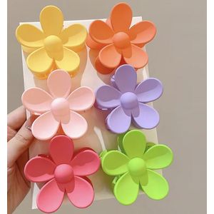 Grande pince à cheveux pour femmes, pinces à cheveux élégantes, 6PCS- COULEUR