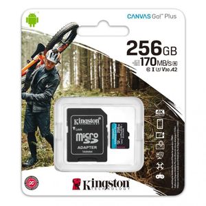 Kingston  Carte Mémoire king 256 Go Class 10 Micro SD 