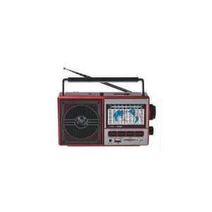 Epe Radio Multi bande Rechargeable Lecteur - USB - Micro SD- Fm