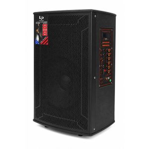 Haut-parleur Bluetooth Portable Rechargeable avec USB, TF, FM et Entrée Micro