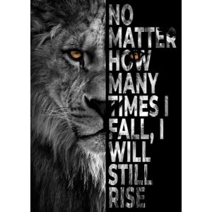 I will rise  Poster Chambre Haute Qualité