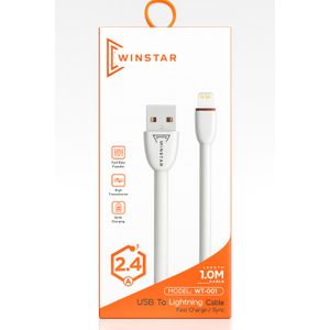 WINSTAR WT-001 Câble USB vers Lightning 2.4A Charge Rapide et Synchronisation 1 m pour iPhone et iPad