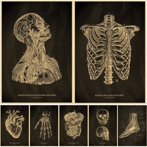 Poster anatomie au Maroc, Achetez en ligne à prix pas cher