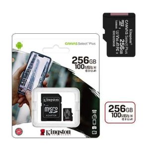Kingston Carte mémoire micro SD capacité 256Gb vitesse 100 Mo/s C10 U1 A1