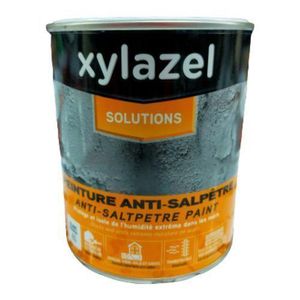 XYLAZEL Peinture Anti-Humidité bloque les taches d’humidité et évite l’apparition de salpêtre