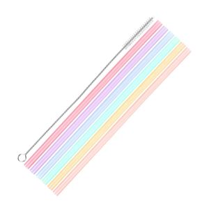 6 pailles réutilisables en plastique+ Goupillon