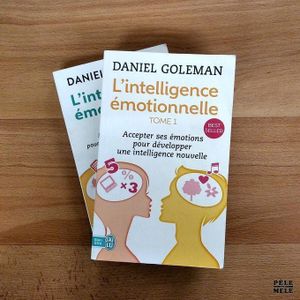 L’INTELLIGENCE ÉMOTIONNELLE – TOMES 1 & 2