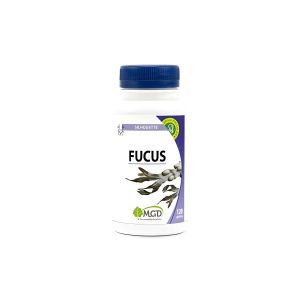 Fucus - Soutien Minceur & Silhouette - 120 Gélules - Fabriqué en France